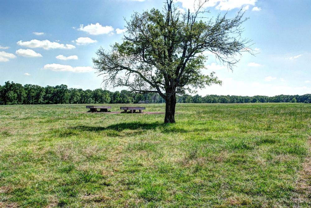 Grimes County Ranch: FM 3090 & CR 306, Anderson, TX 77830